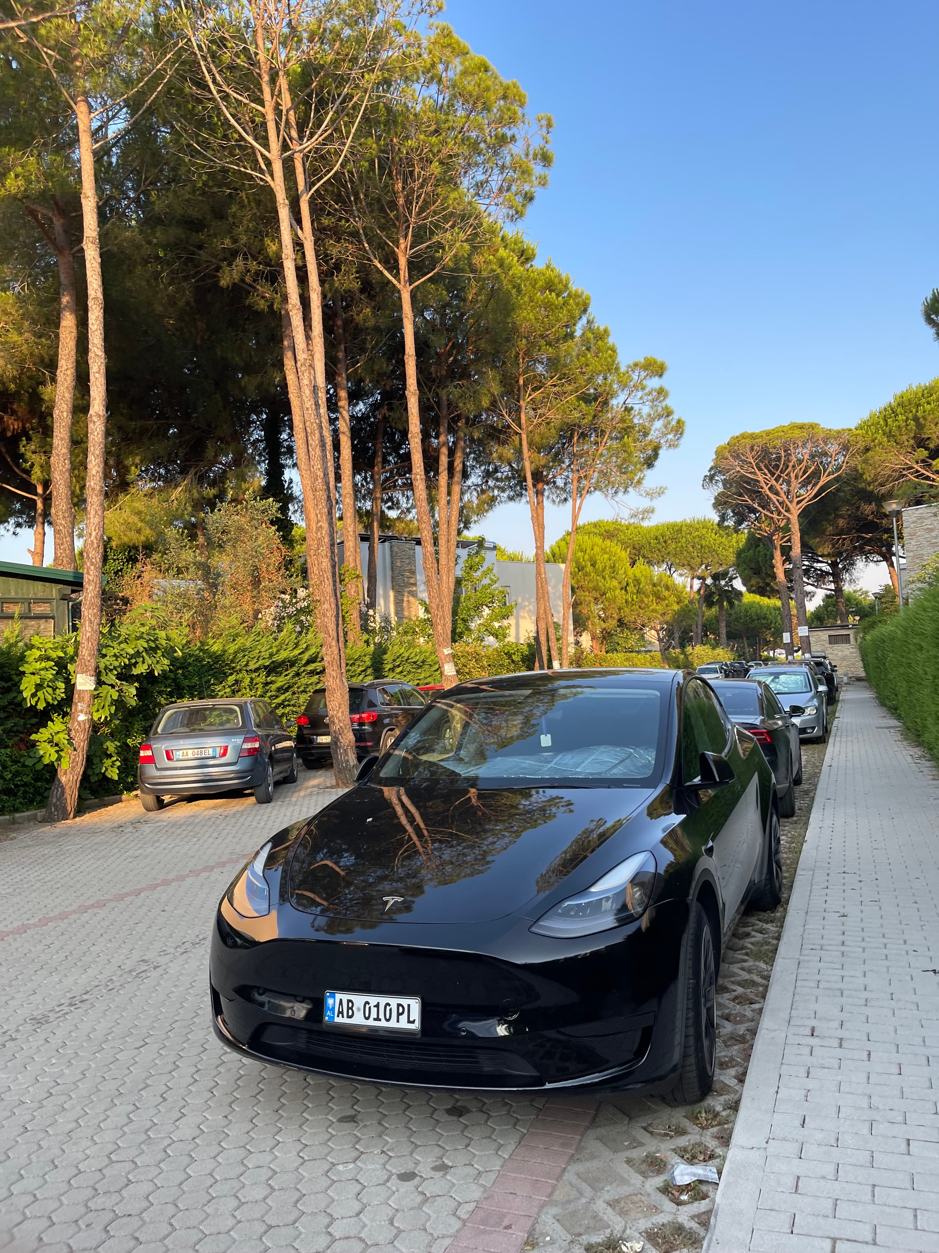 Tesla